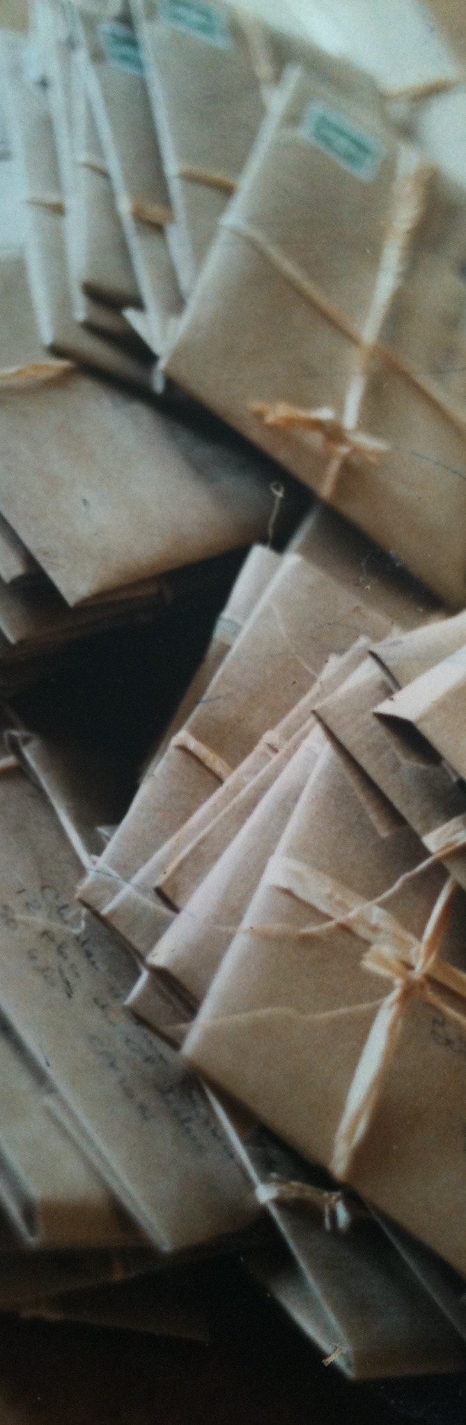 Newsletter du mois d&rsquo;Avril&nbsp;2025